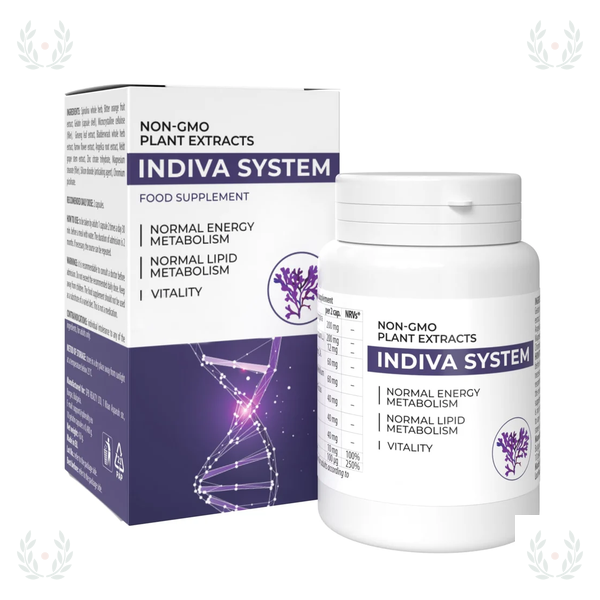 InDiva System
